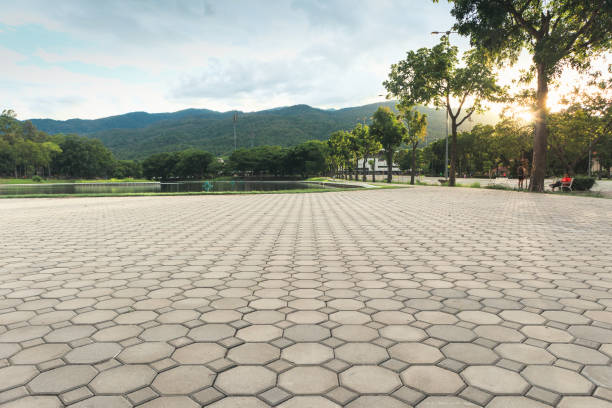 Best Residential Paver Driveway  in Glenwood, IL